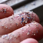 microplastics.webp